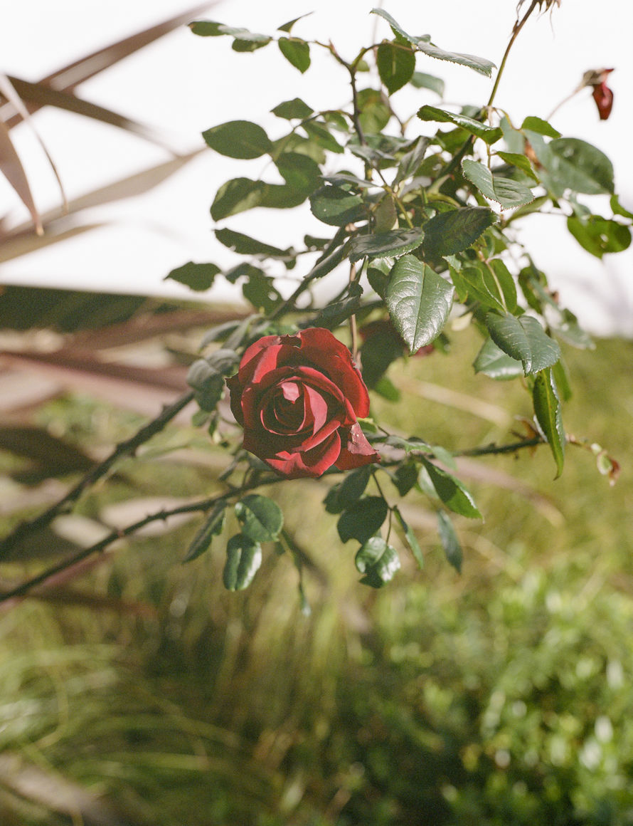  Chapel of  Saint thérèse of lisieux